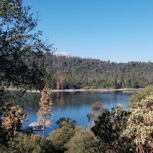 Meet your Posher, Adrian